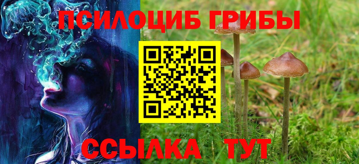 Псилоцибиновые грибы ЛСД Рыбинск