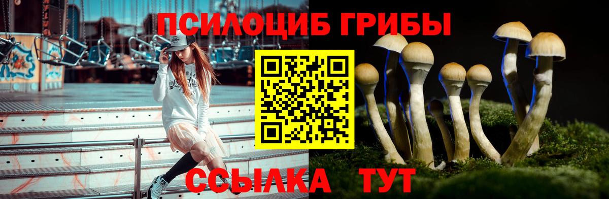 Рыбинск  Галлюциногенные грибы Psilocybine cubensis  Вход с VPN 